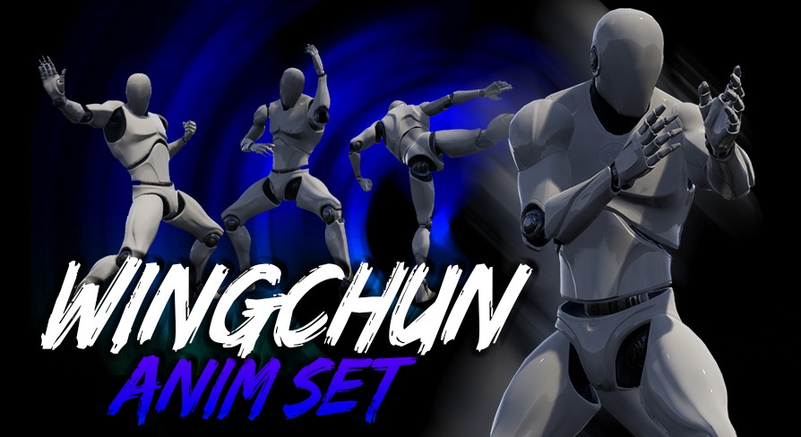 [ Unreal Engine animation ] Wingchun AnimSet
