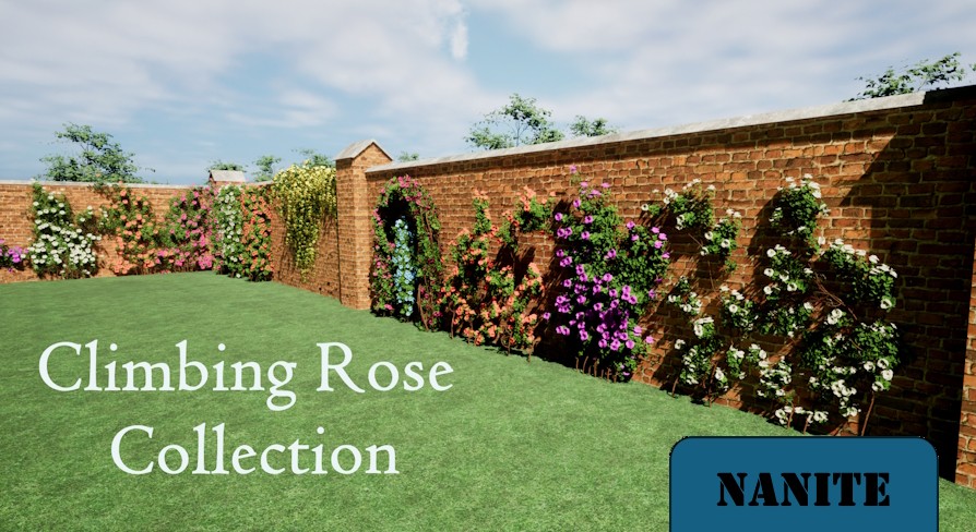 [UE5.2] Climbing Rose Collection