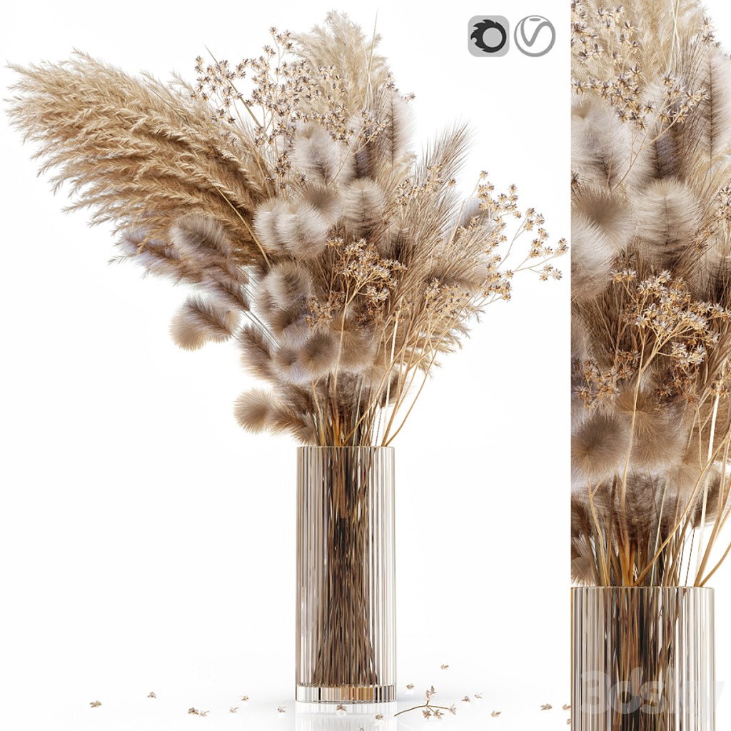 Dry flowers in modern vase 3