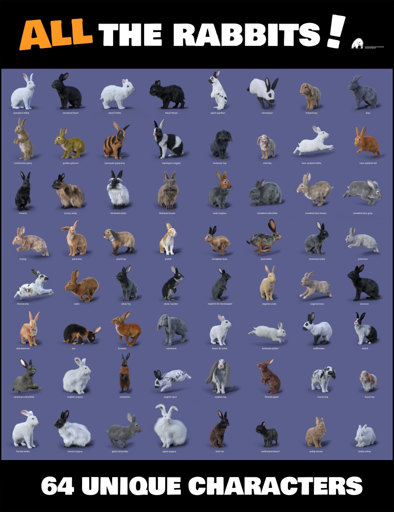 All the Rabbits