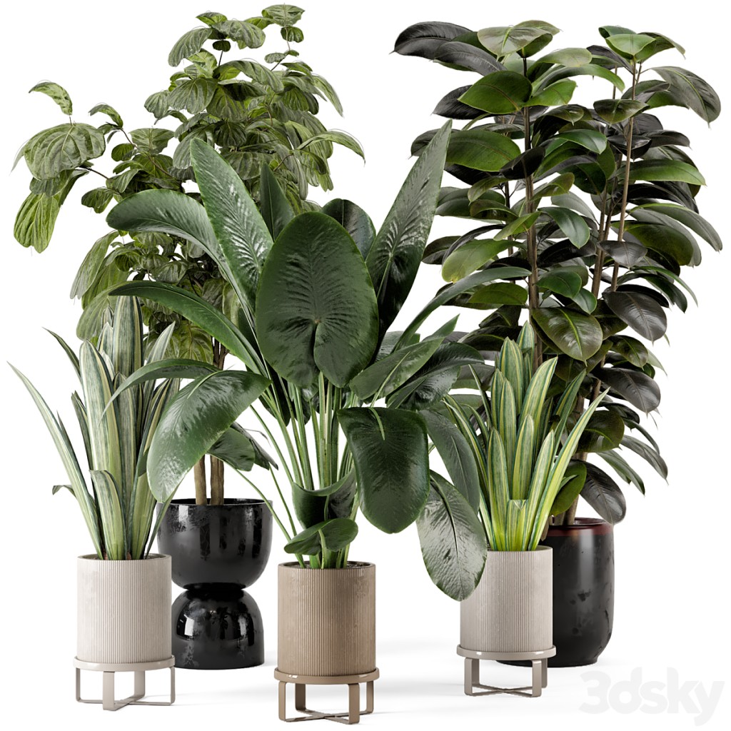 Indoor Plants in Ferm Living Bau Pot Large - Set 764