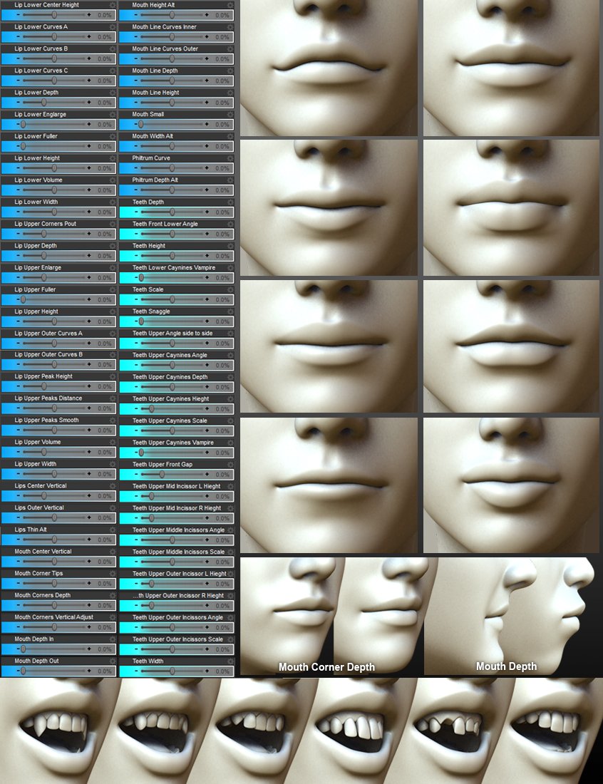200 Plus - Head & Face Morphs for Genesis 3 Female(s)