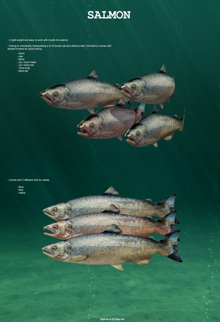 Salmon