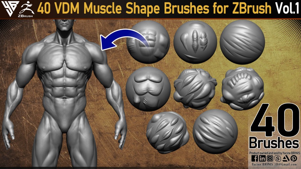40 VDM Muscle Shape Brushes for ZBrush Vol 01