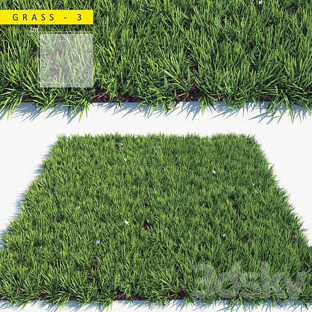 Grass 3