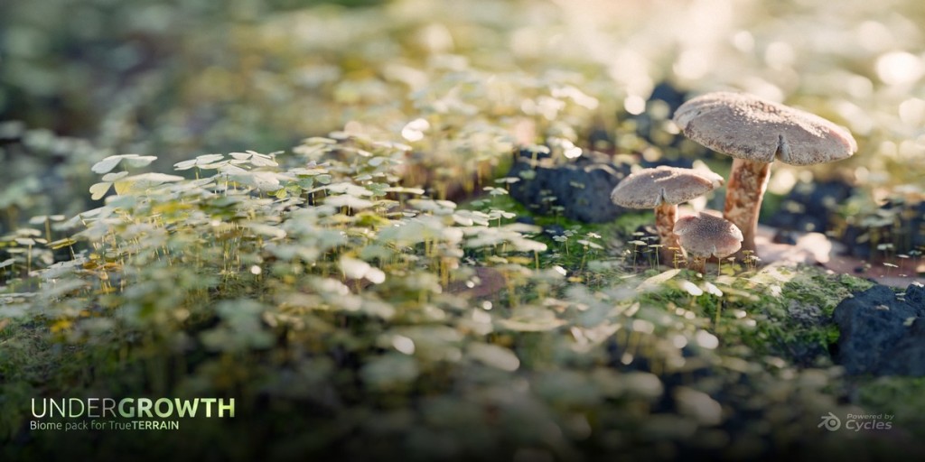 Undergrowth | Asset Library