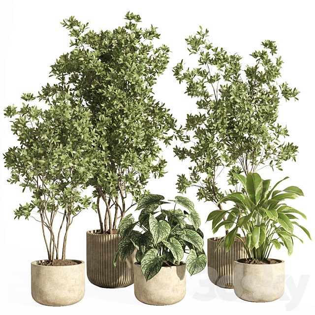 indoor plant set 69-concrete pot