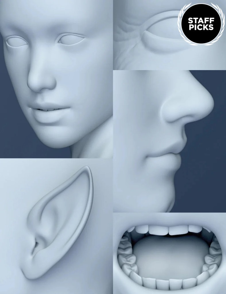 Genesis 8 Female Head Morphs