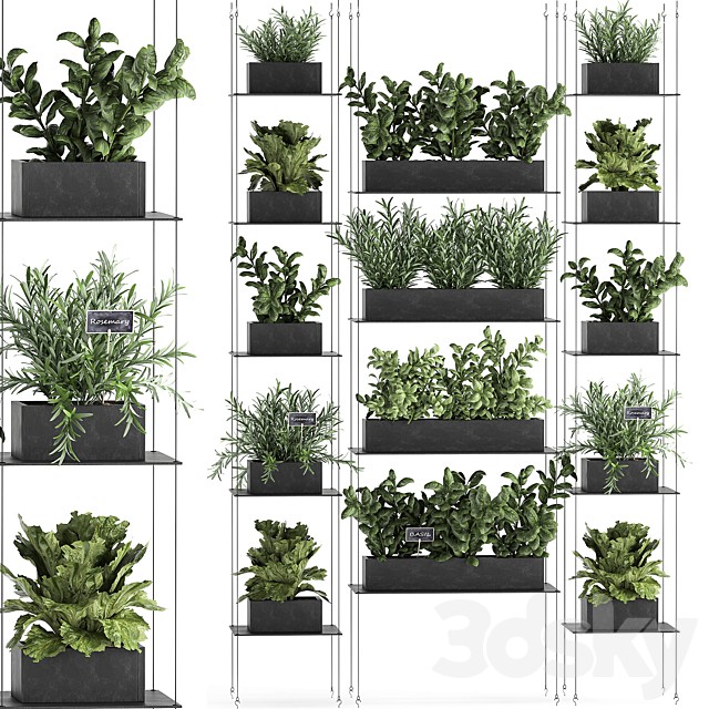 Vertical gardening home garden kitchen garden, shelf suspension with plants, phytosten, phytomodule. Set 63.