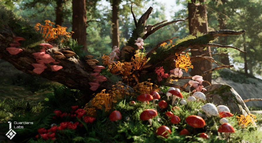 [UE5.0] Forest Fungi - Mushroom Pack