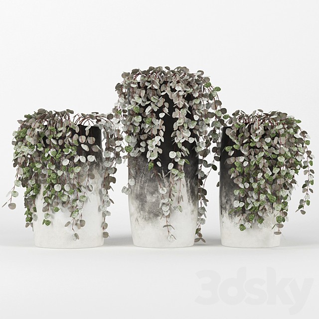 Black & White Ombre Cylinder Vase