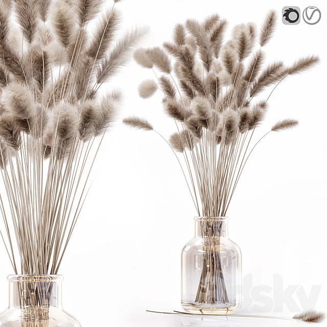 Dry flowers in modern vase 2