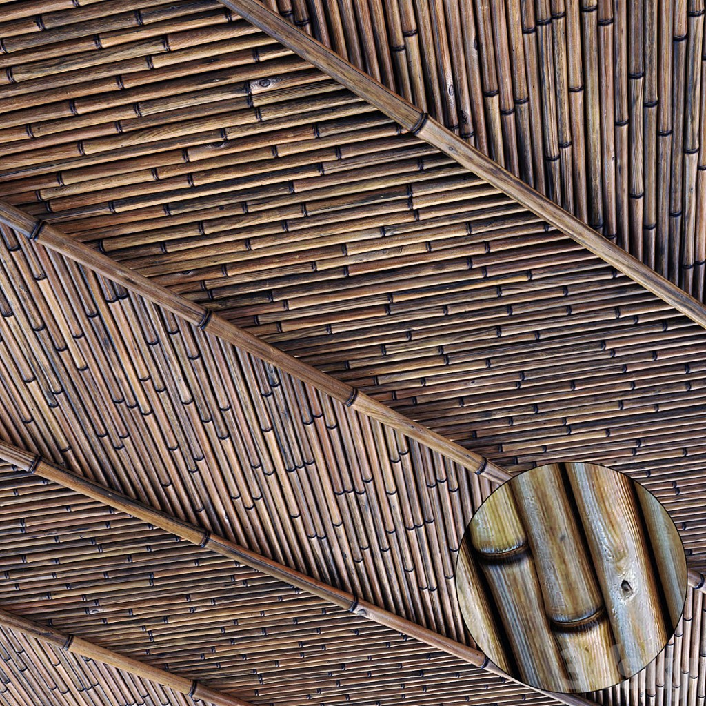 Ceiling bamboo branch low n5 / Bamboo ceiling No. 5