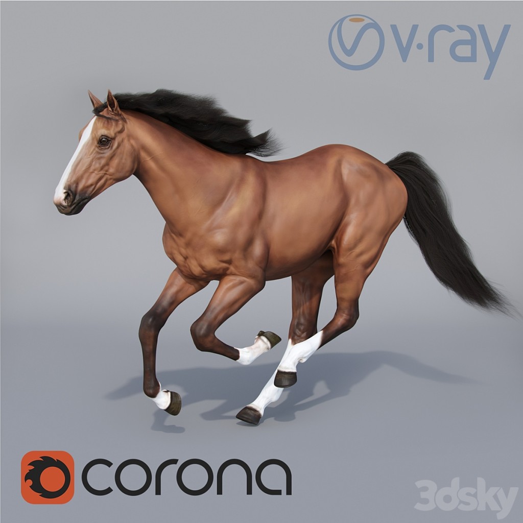 Running horse