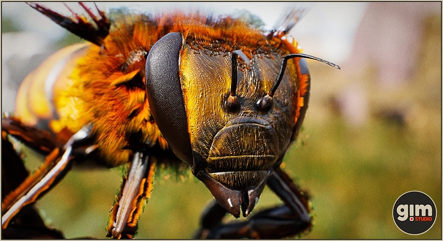 Animalia - Honeybee for iClone