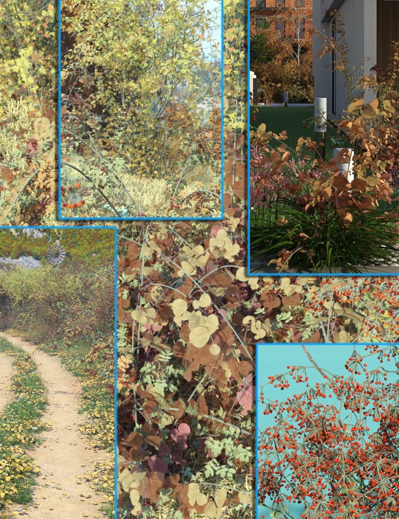 Hedgerow Kit 3 – Fall Hawthorne Hedges Brambles and DogRose