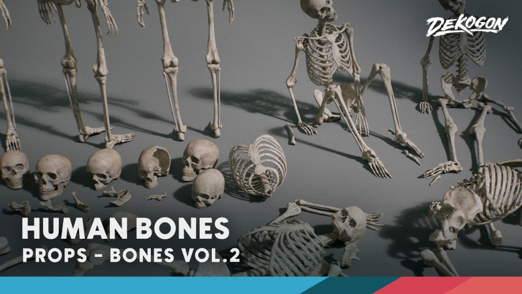 Bones VOL2 (HumanBones,Nanite,LowPoly) UE5.0