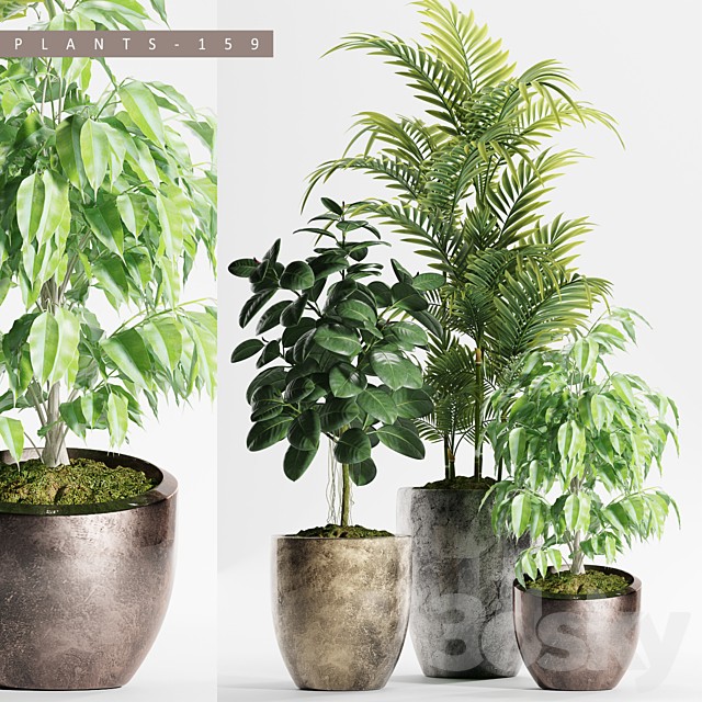 PLANTS 159