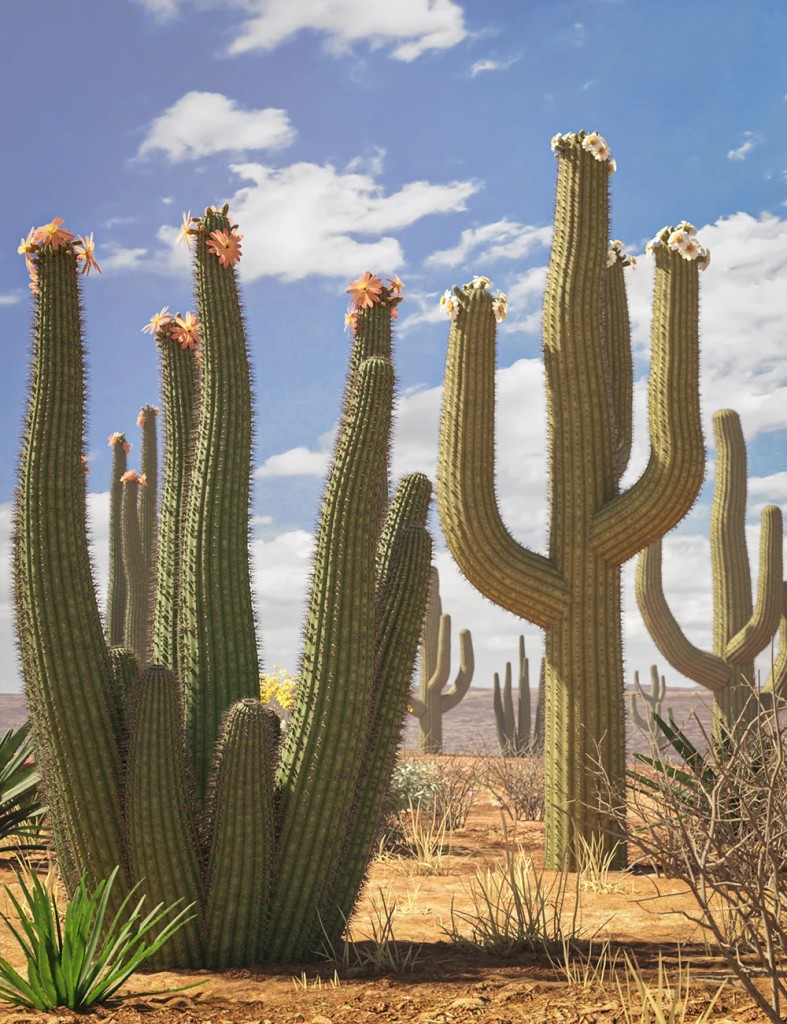 Predatron Organ Pipe and Saguaro Cactus Plants