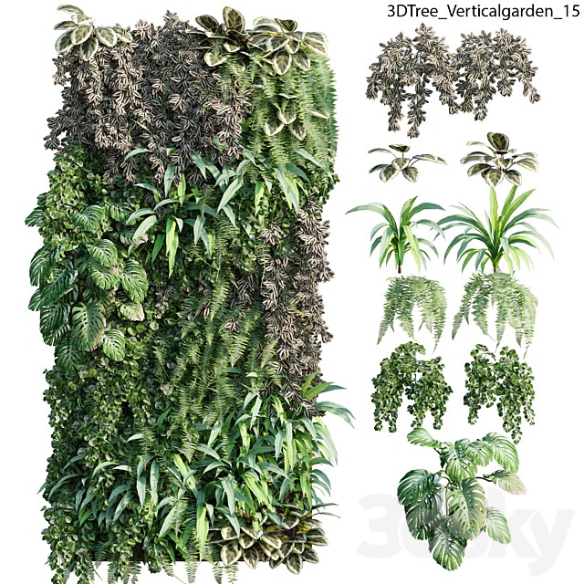 Verticalgarden - Green wall 15