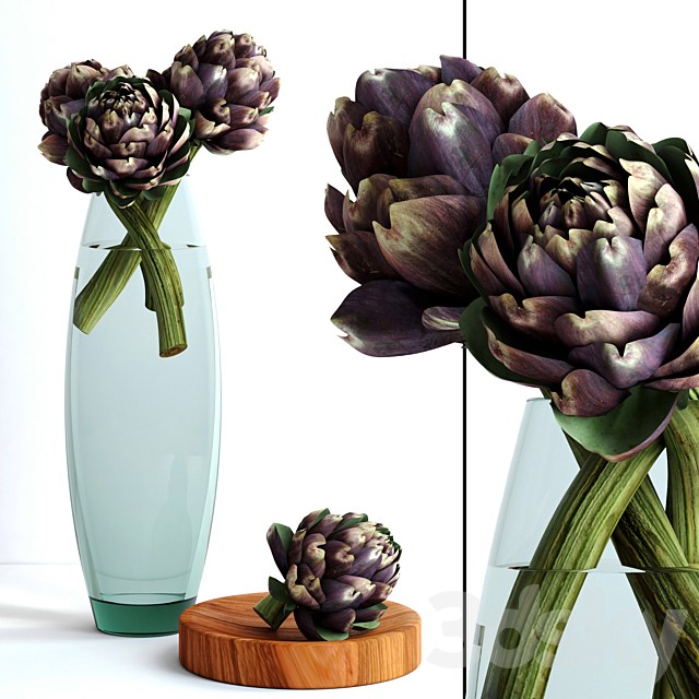 Burgundy Artichokes