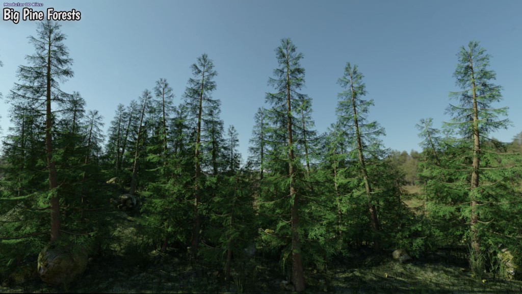 Modular 3D Kits: Big Pine Forests