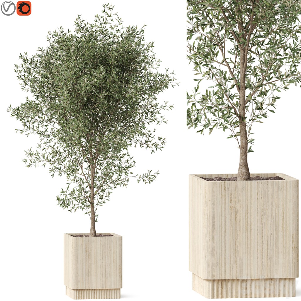Plants collection 861