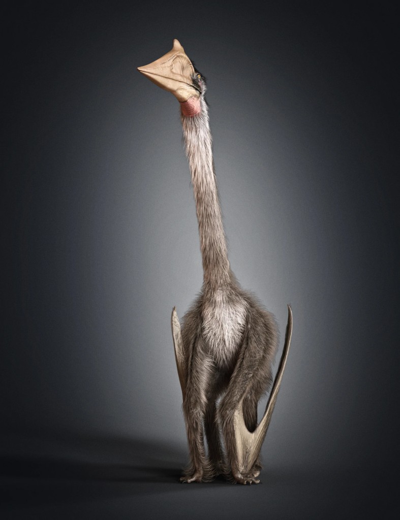 Quetzalcoatlus by AM