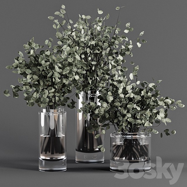 Bouquet Collection 01 - Dark Green Plants in Glass Vase