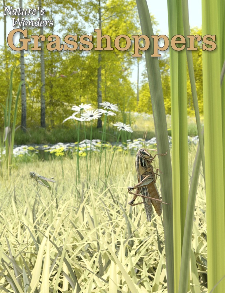 Nature's Wonders Grasshoppers