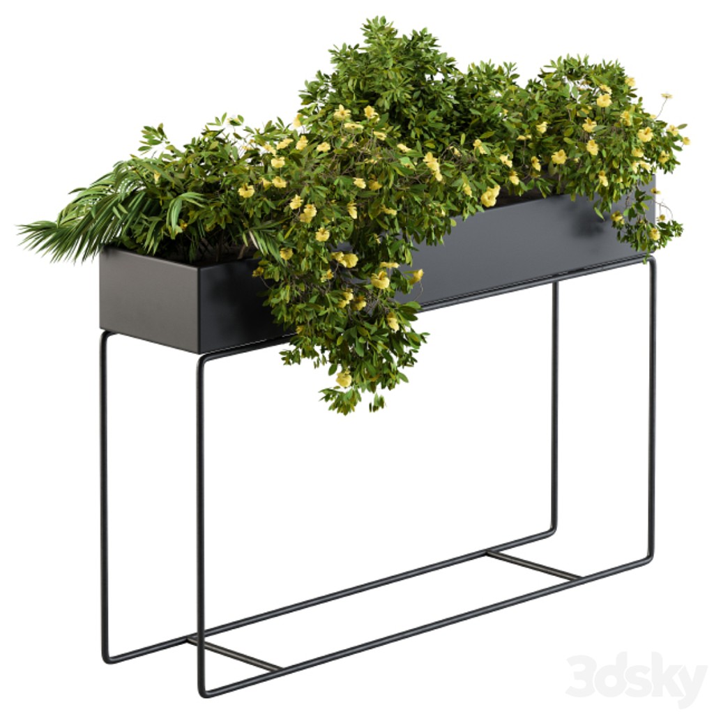 Black Plant Box with Yellow Flowers
