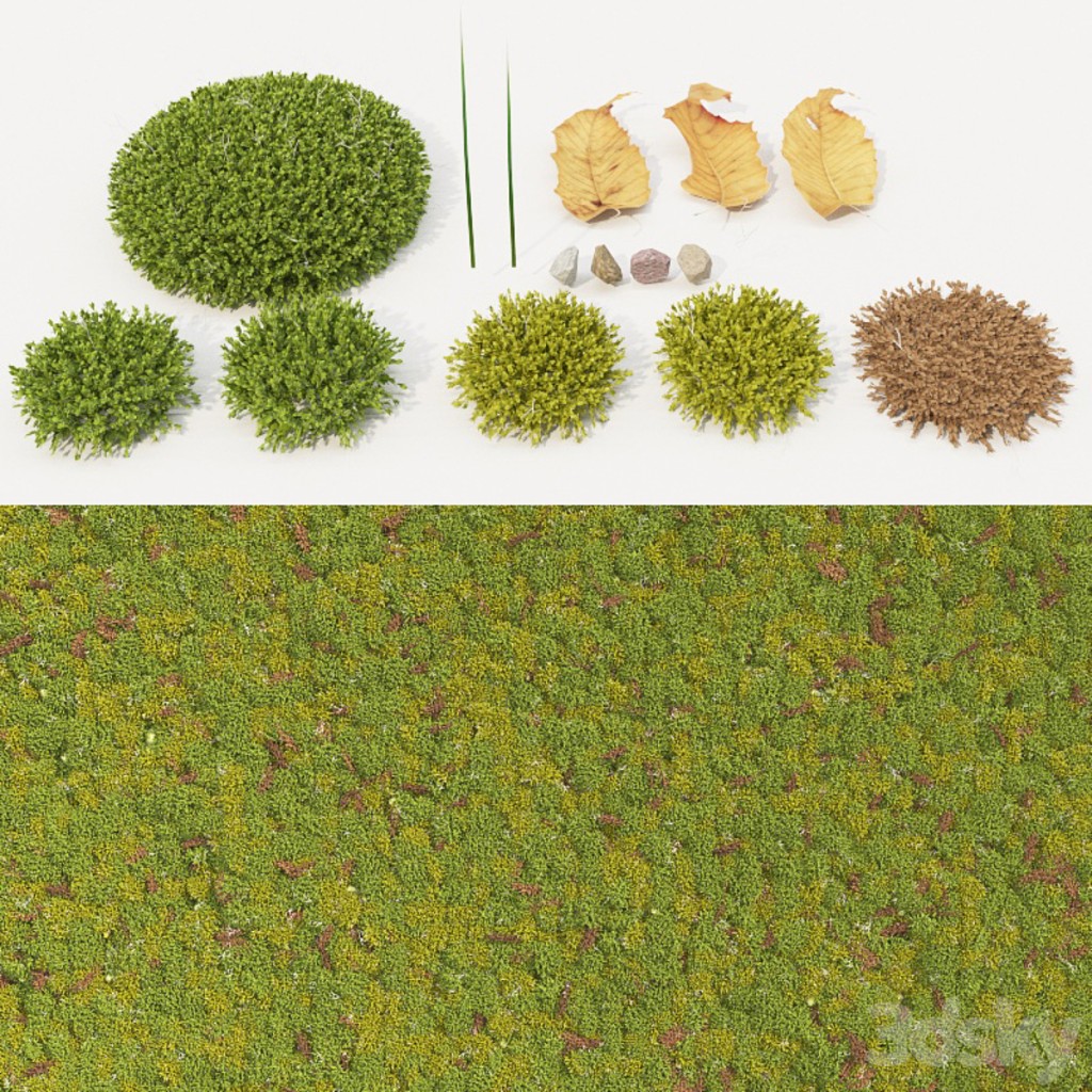 moss_collection
