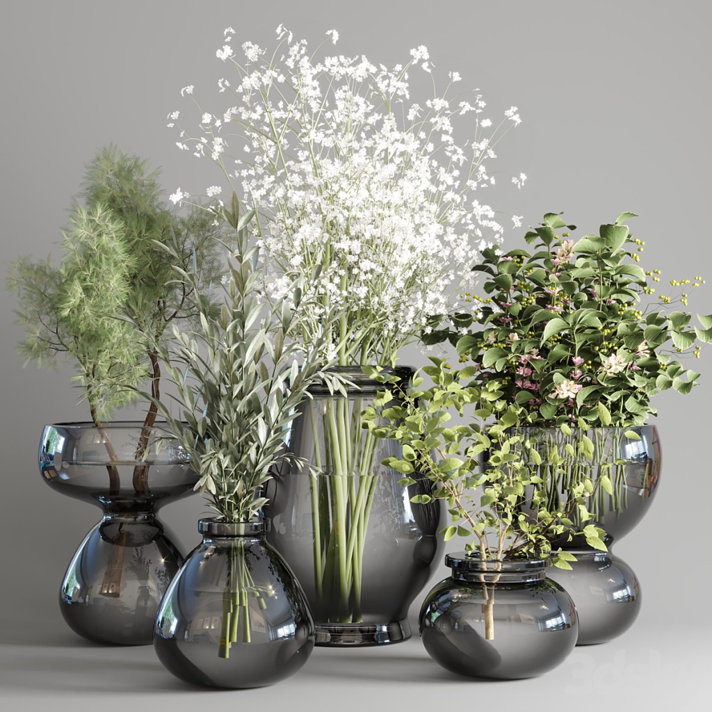 collection Plants Bouquet Indoor glass vase 04