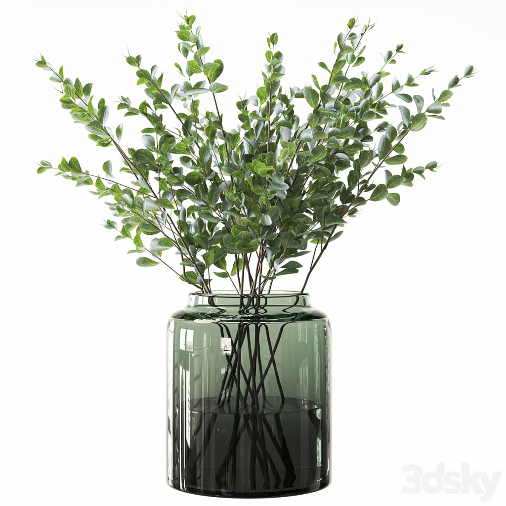 Plant 012