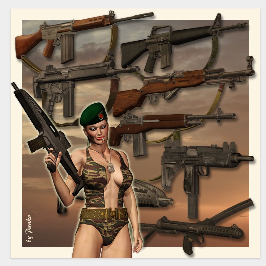 Assault Weapons_2