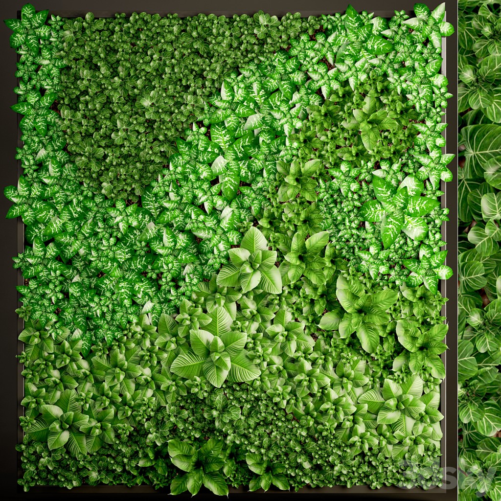 Vertical garden 6. Vertical garden, phytowall, phytomodule, landscaping, green painting, bush, wall decor, eco design