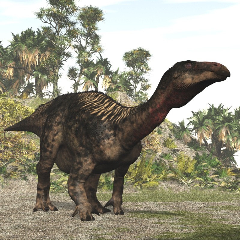 LurdusaurusDR