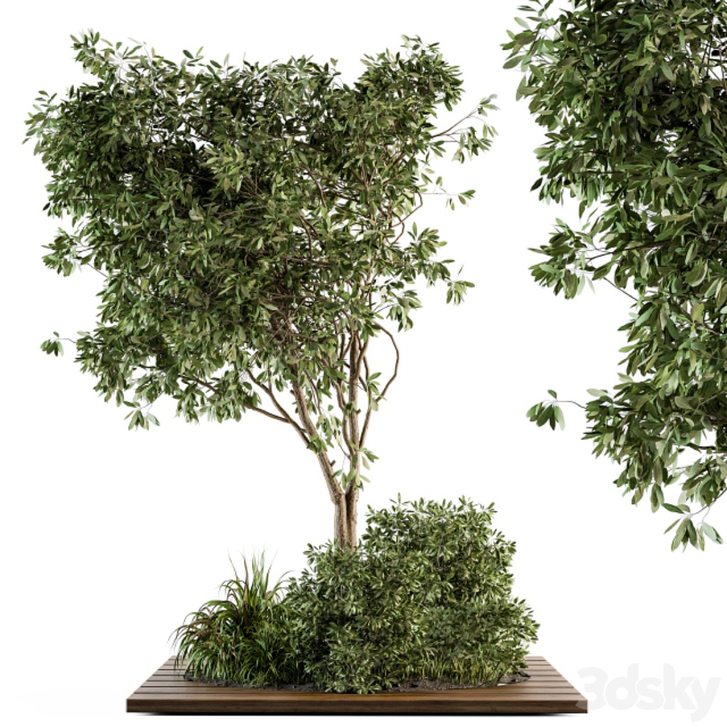 Garden set bush and Tree - Garden Set 05