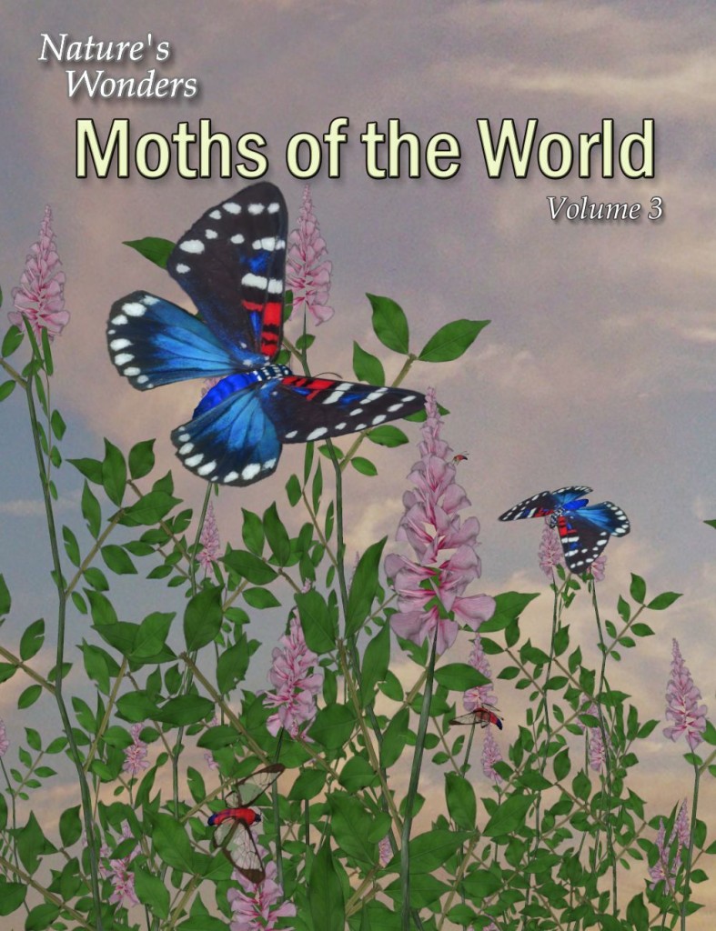 Nature's Wonders Moths of the World Vol. 3