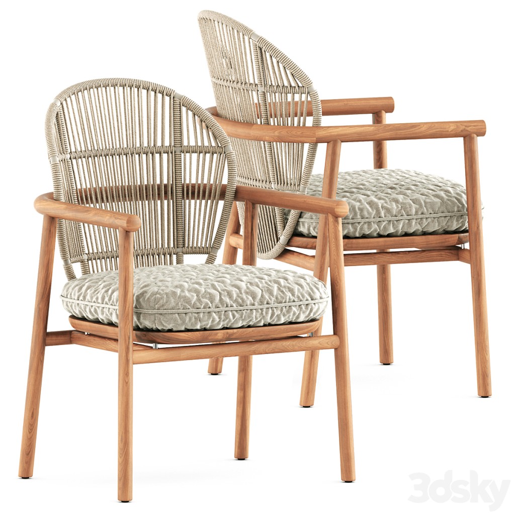 Fern dining chair with arms by Gloster