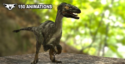 Raptor Dinosaur Animated