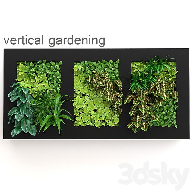 Vertical gardening