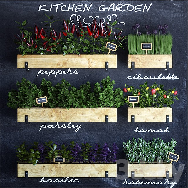 Kitchen garden