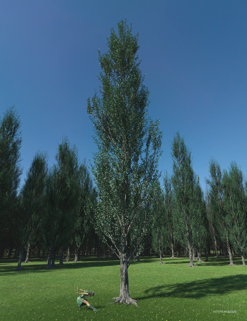 PTU Poplar Trees Ultimate