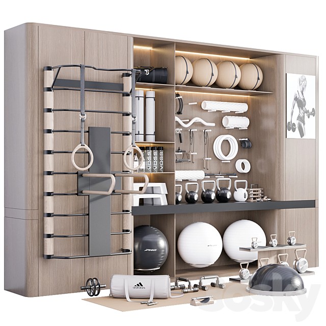 Gym Rack with Sport Equipment No8