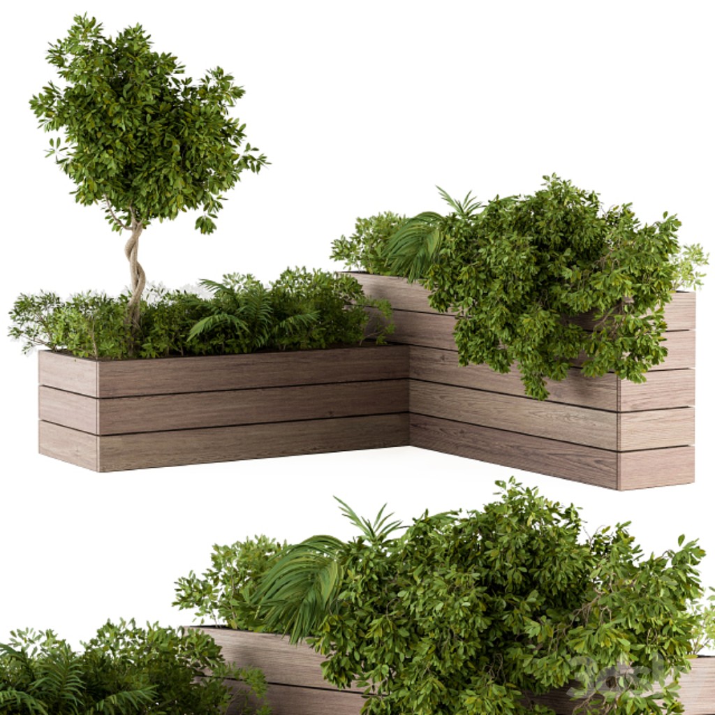 outdoor Plants Wood Box - Set 44
