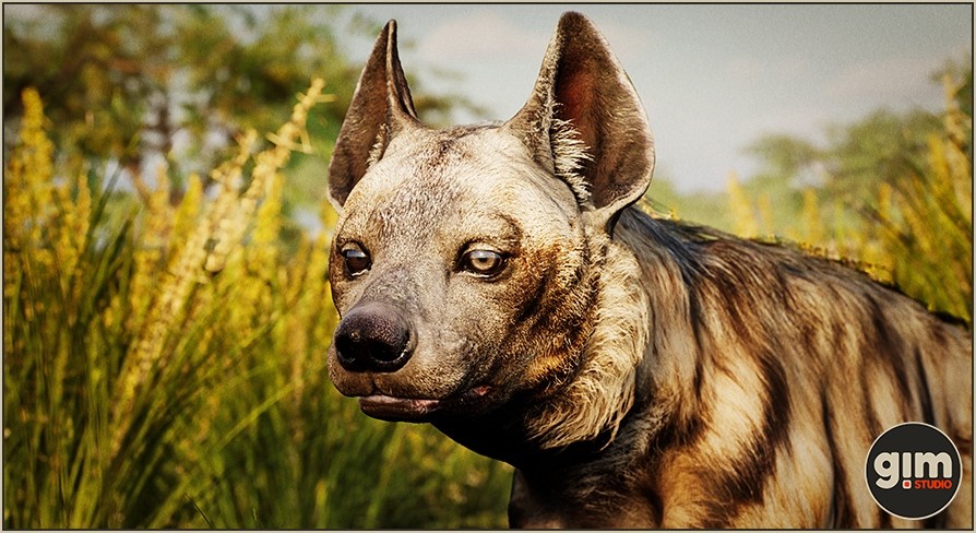 Animalia - Striped Hyena (male) UE5.1