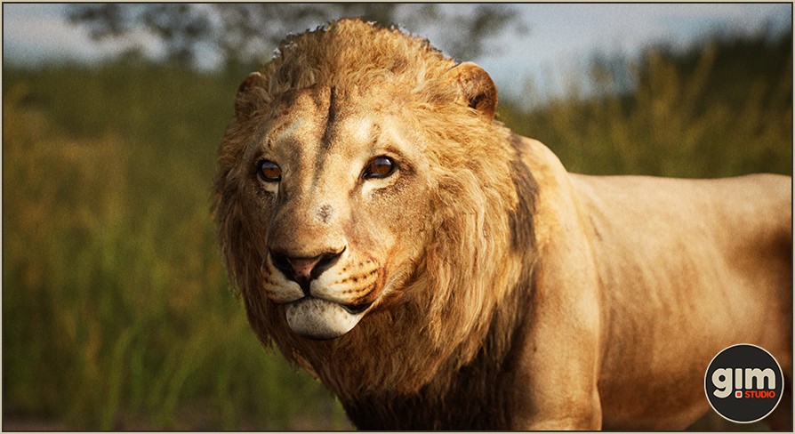 [UE] Animalia - Lion (male)