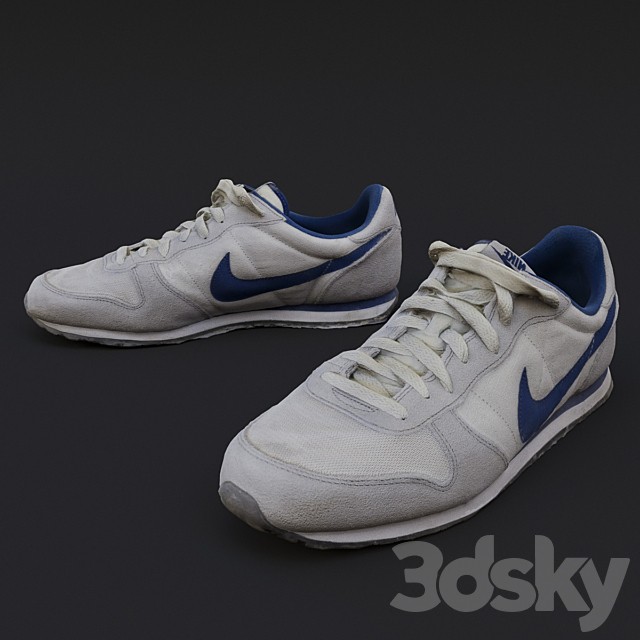 Nike Running shoes
