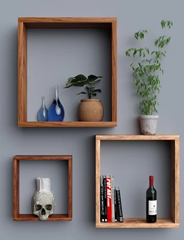 Contemporary Shelves